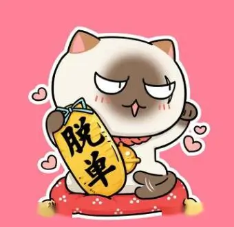 动漫迷小柯